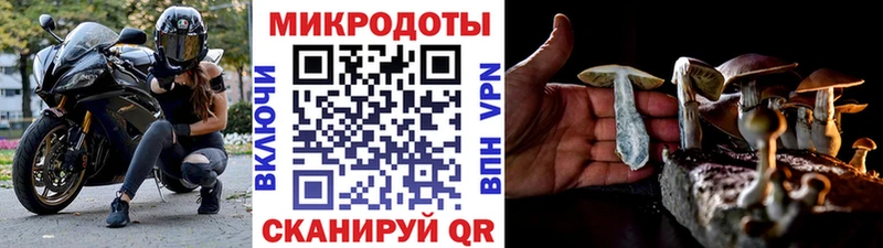 Галлюциногенные грибы Psilocybe Стерлитамак
