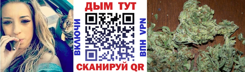 купить  сайты  Стерлитамак  Канабис ГИДРОПОН 